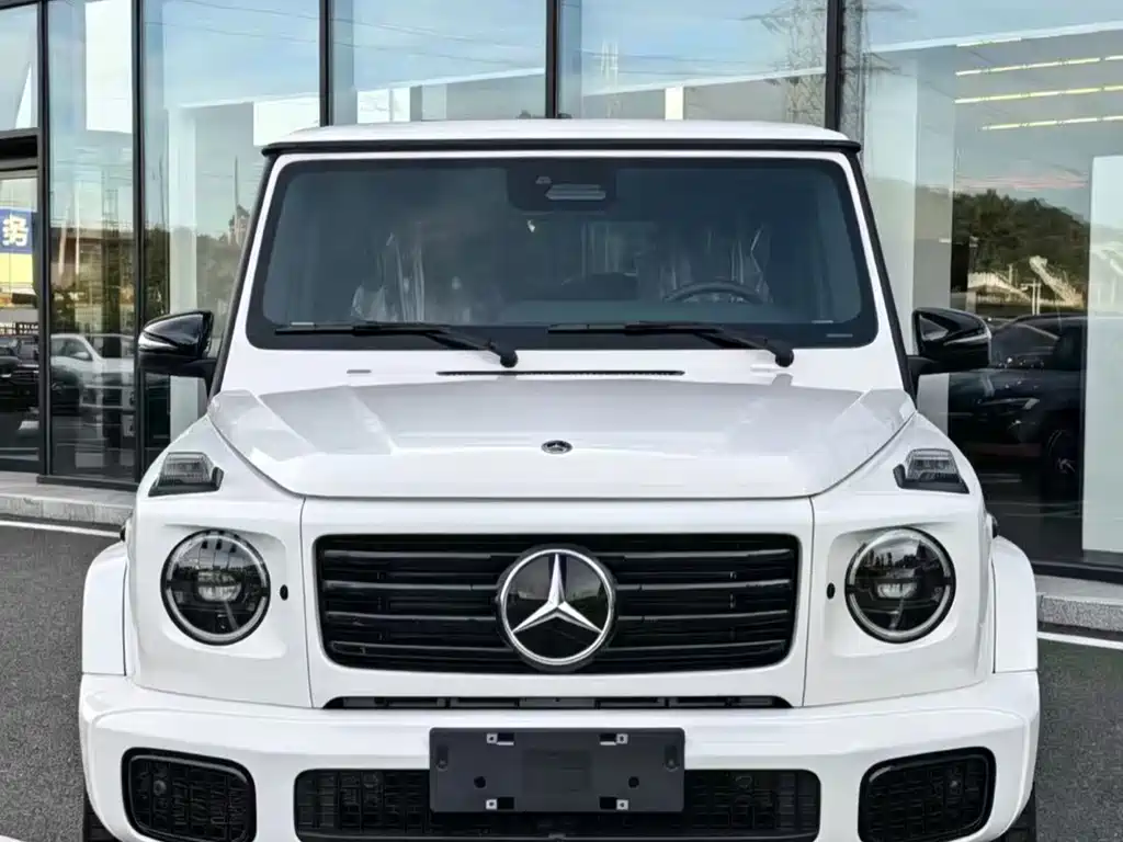 Mercedes-Benz G-Class 2019 — фото 1