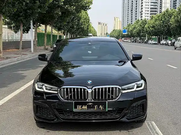 BMW 5 Series New Energy 2022
