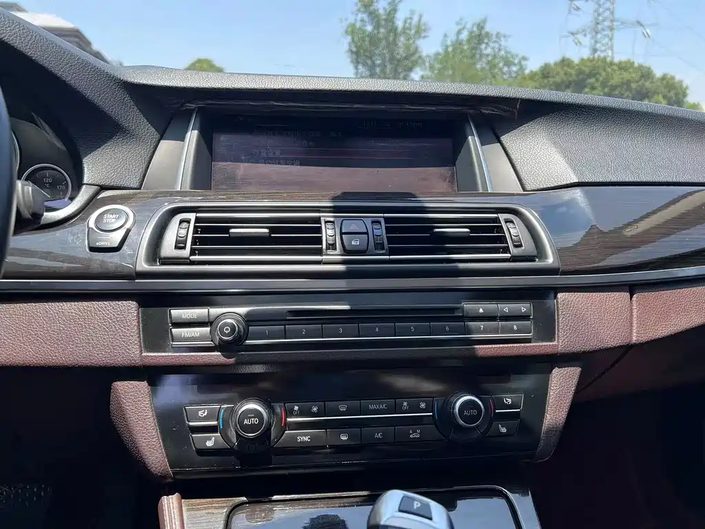 BMW 5 Series New Energy 2016 — фото 13