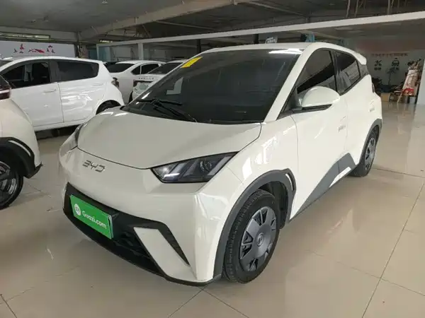 BYD Seagull 2024