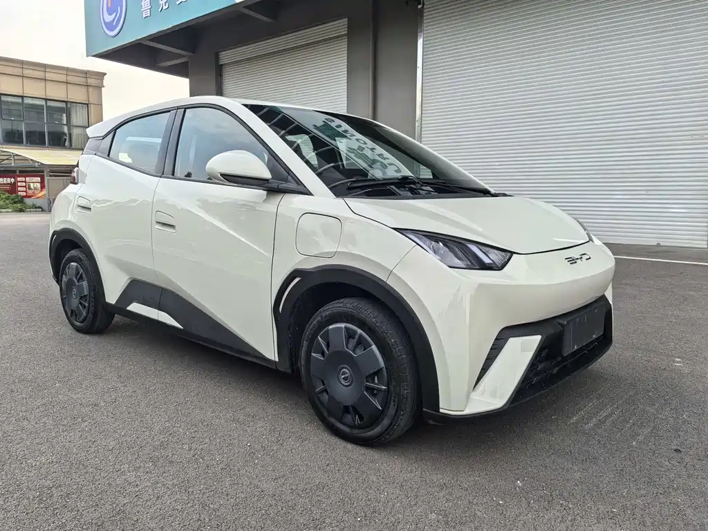 BYD Seagull 2024