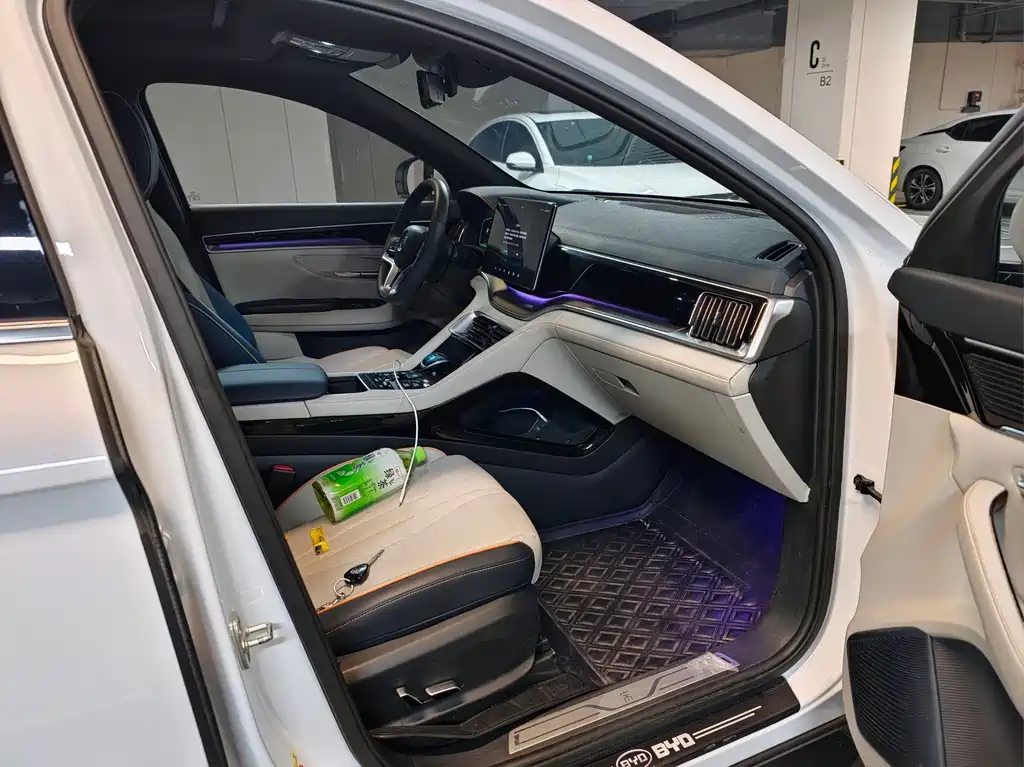 BYD Song PLUS New Energy 2023 — фото 4