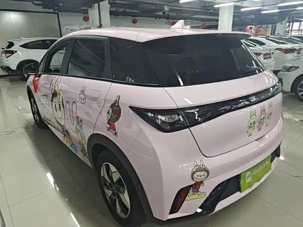 BYD Dolphin 2024