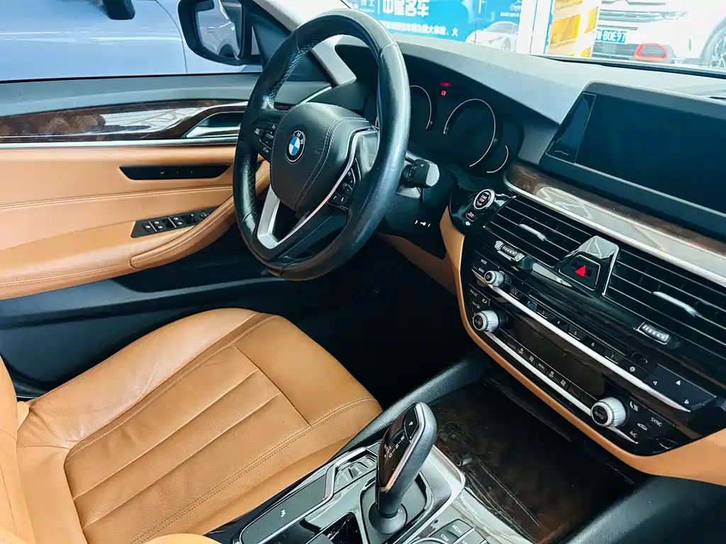 BMW 5 Series 2017 — фото 13