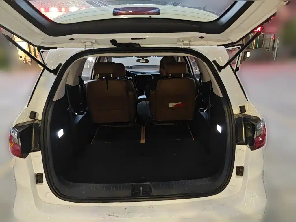BYD MAX 2019 — фото 10