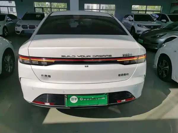 BYD Destroyer 05 2024