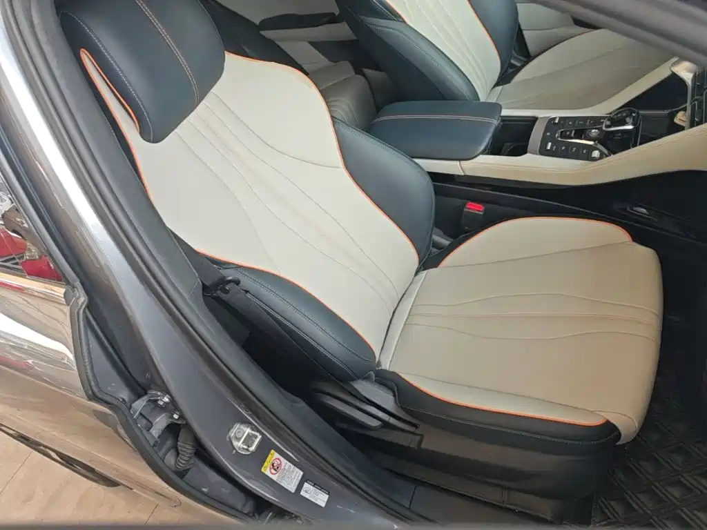 BYD Song PLUS New Energy 2023 — фото 25
