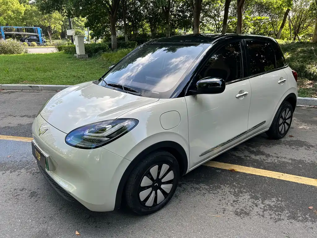 Wuling Bingo 2024