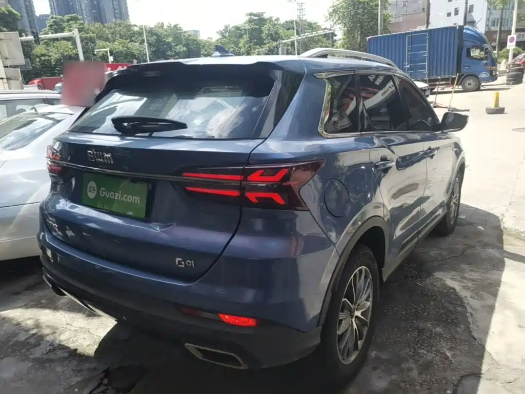 SWM G01 2019