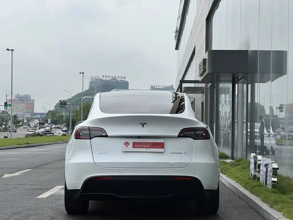 Tesla Model Y 2021 — фото 2