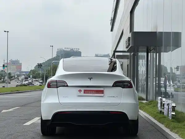 Tesla Model Y 2021