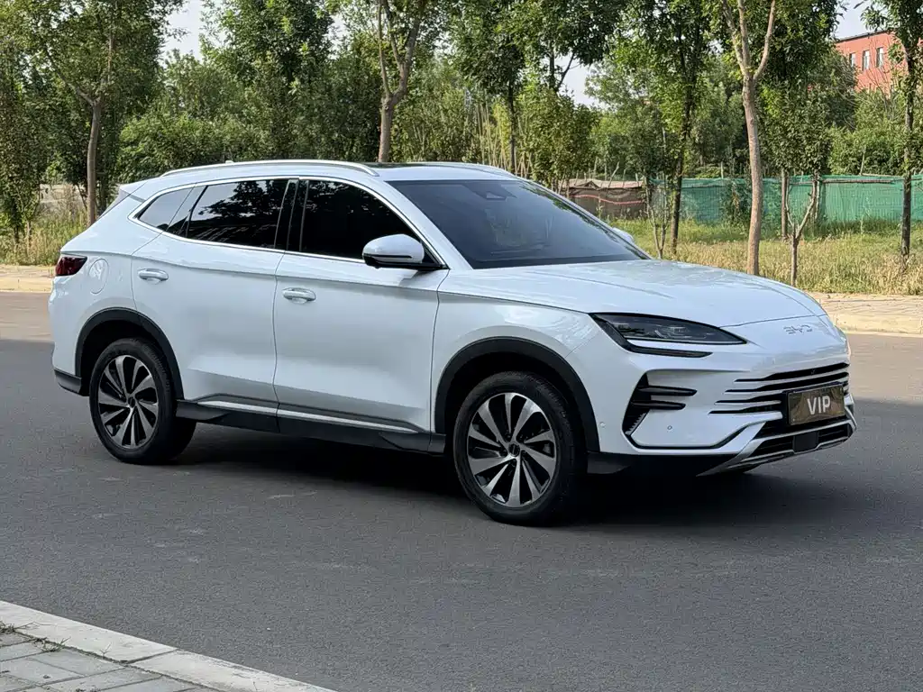 BYD PLUS New Energy 2024 — фото 3