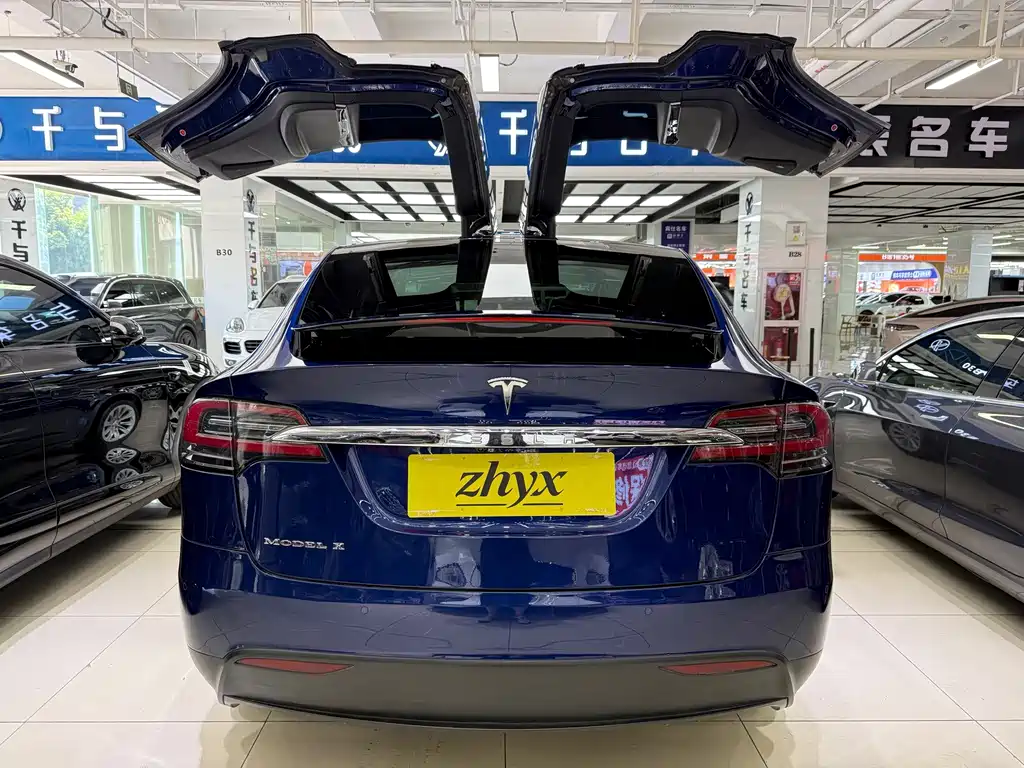 Tesla Model X 2018 — фото 5