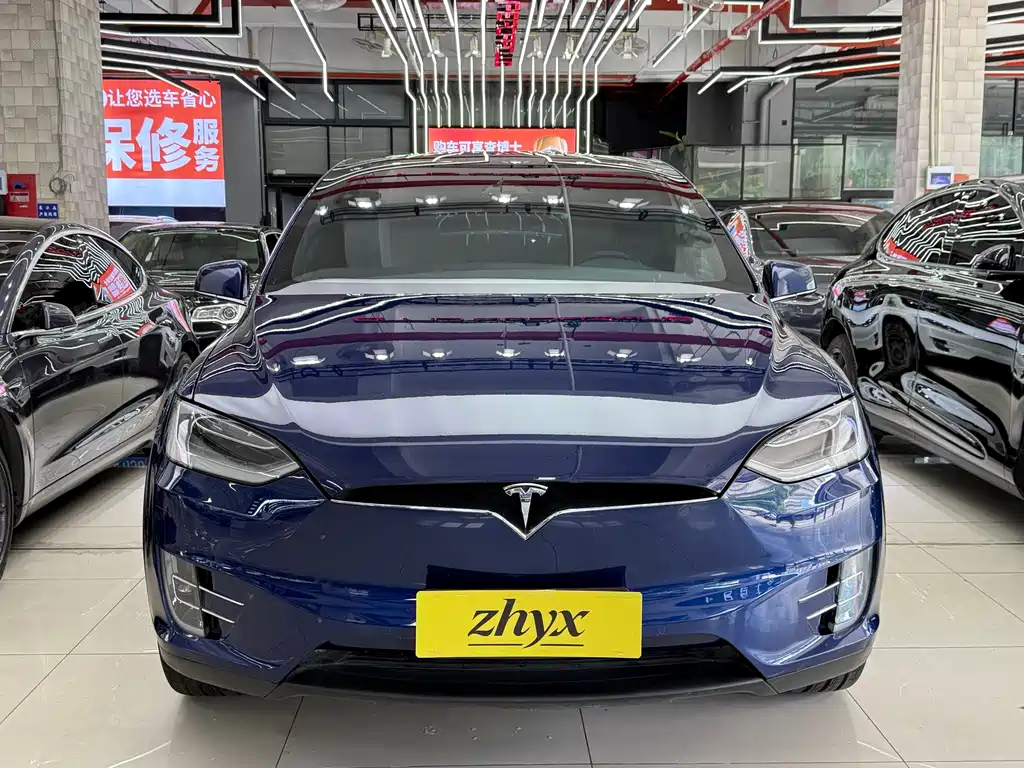 Tesla Model X 2018 — фото 9