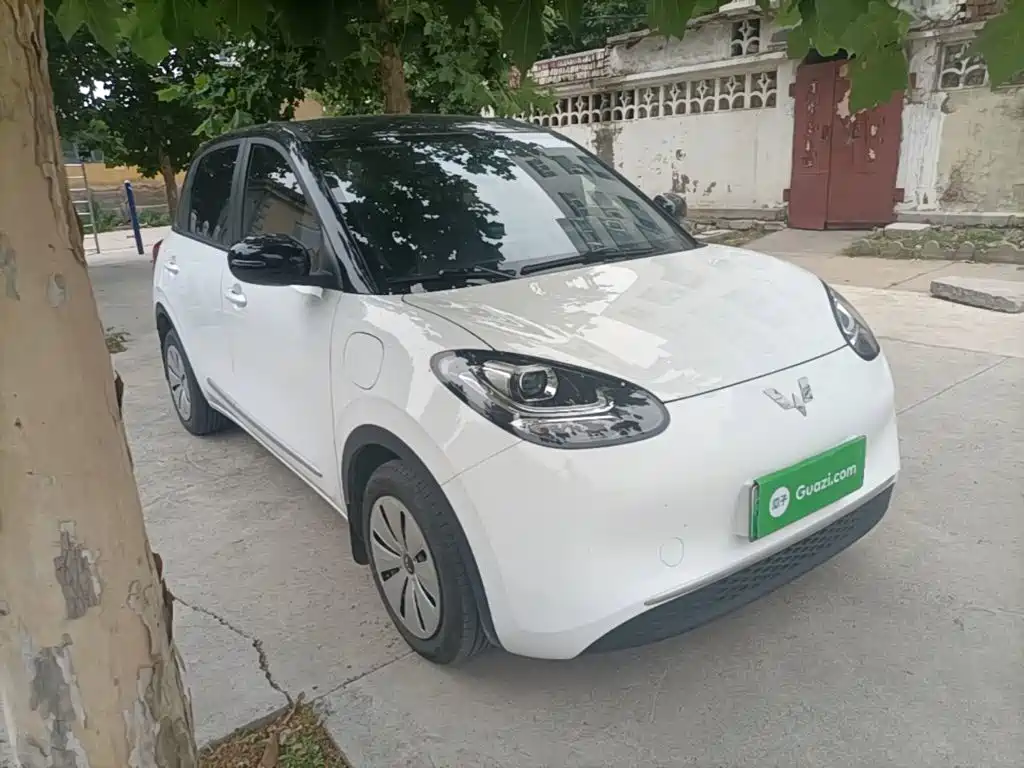 Wuling Bingo 2024