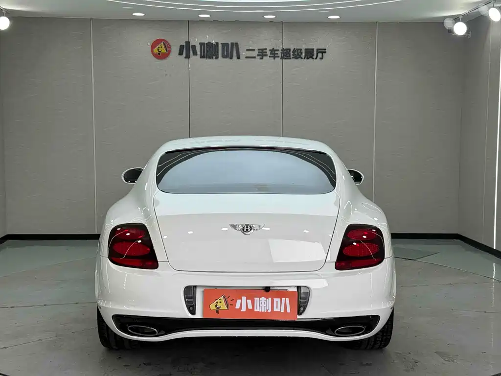 Bentley Continental 2010 — фото 30