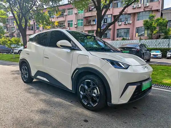 BYD Seagull 2024