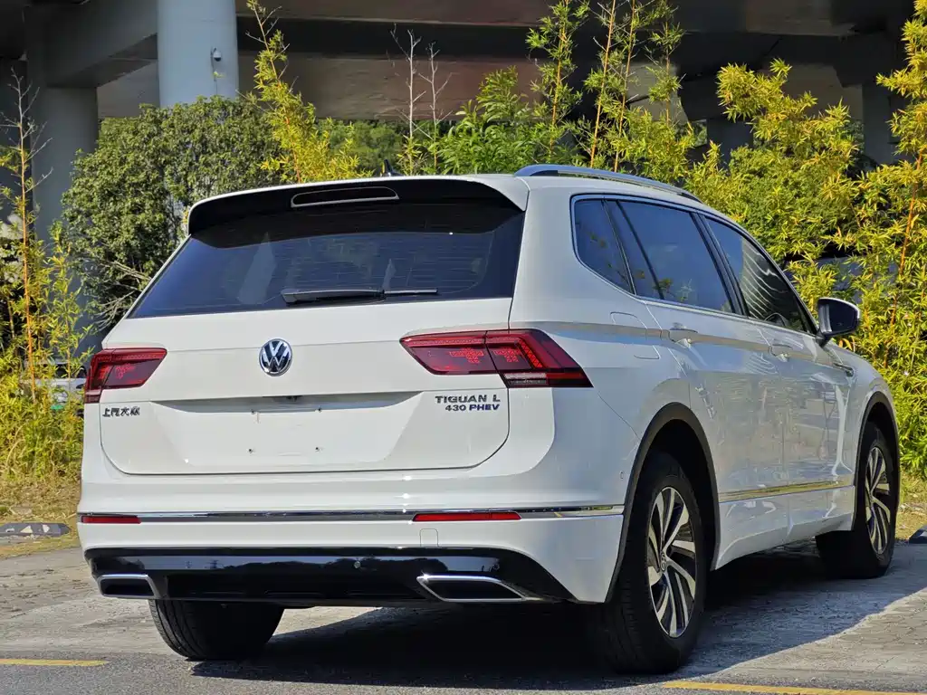Volkswagen Tiguan L New Energy 2020 — фото 6