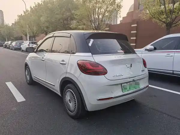 Wuling Bingo 2024