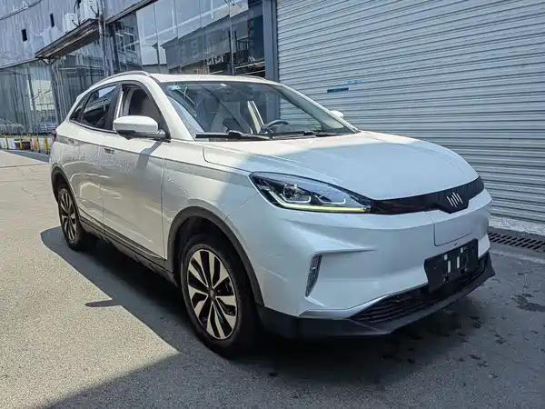 WM Motor EX5 2019
