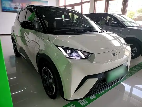BYD Seagull 2024