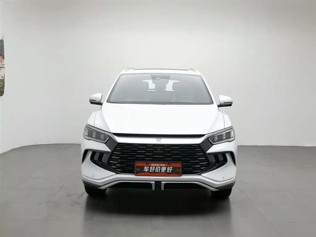 BYD Pro New Energy 2024 — фото 3