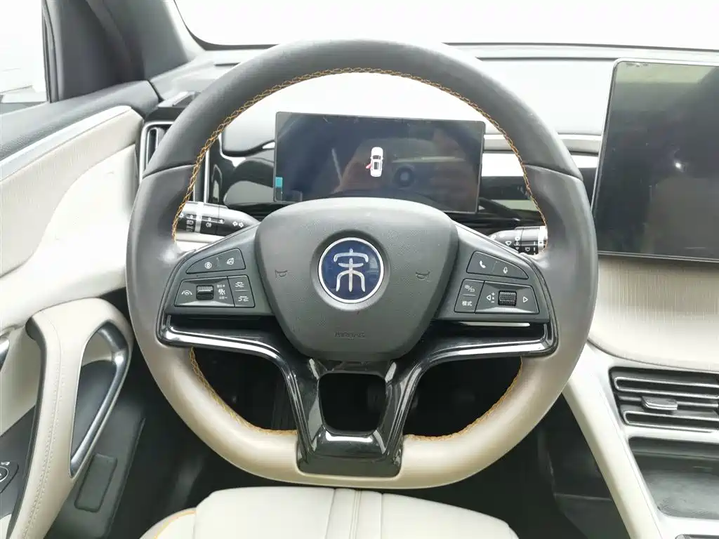 BYD Pro New Energy 2024 — фото 11