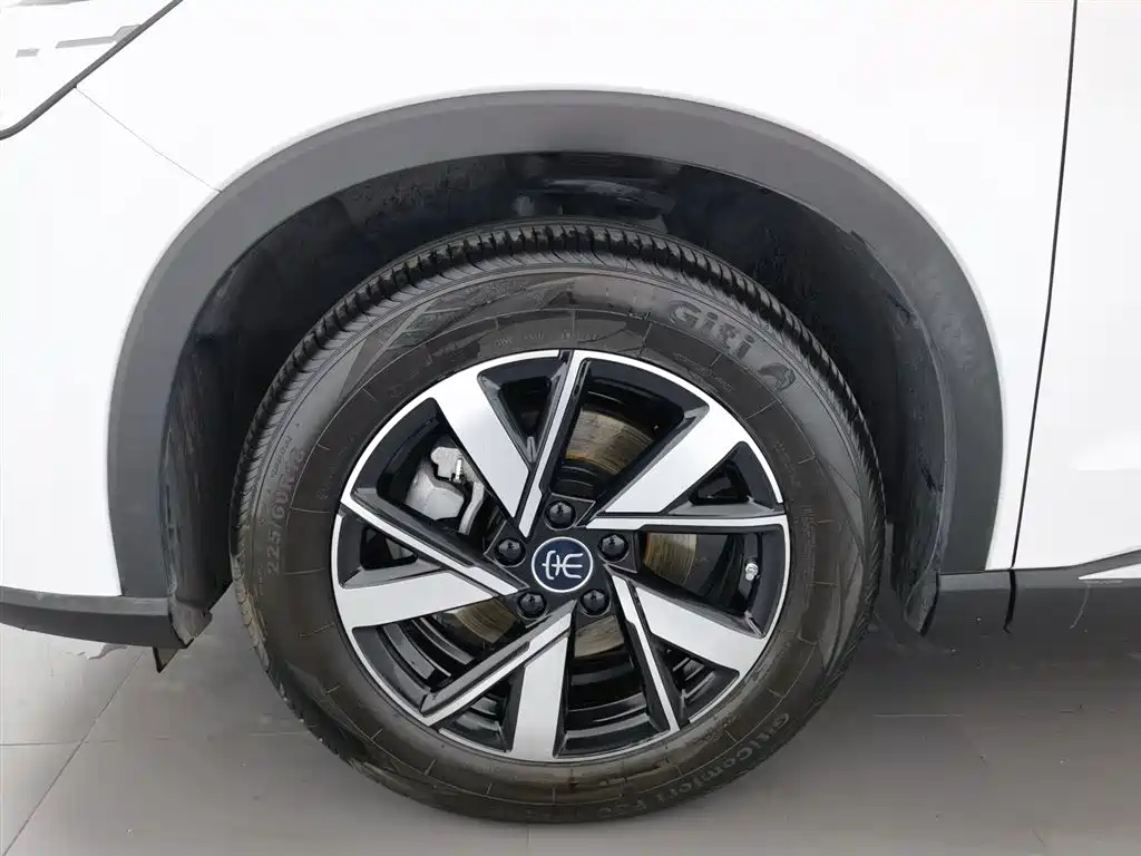 BYD Pro New Energy 2024 — фото 17