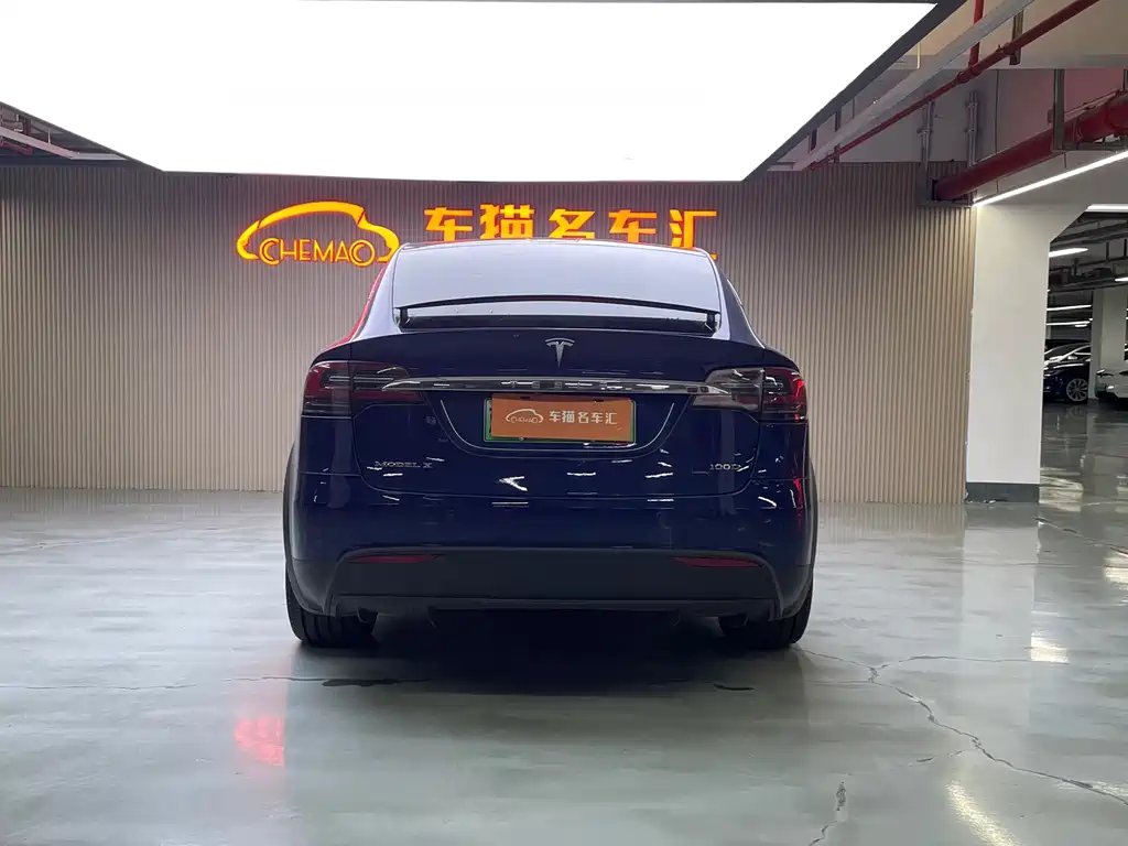 Tesla Model X 2019 — фото 16