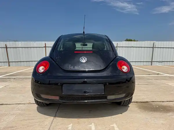 Volkswagen Beetle 2010