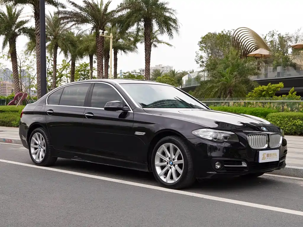 BMW 5 Series 2015 — фото 3