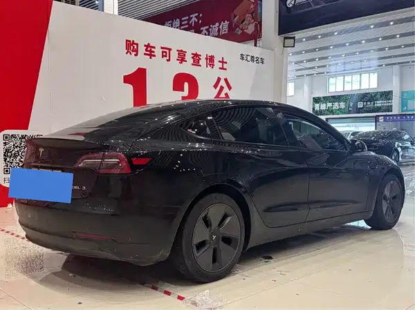 Tesla Model 3 2021