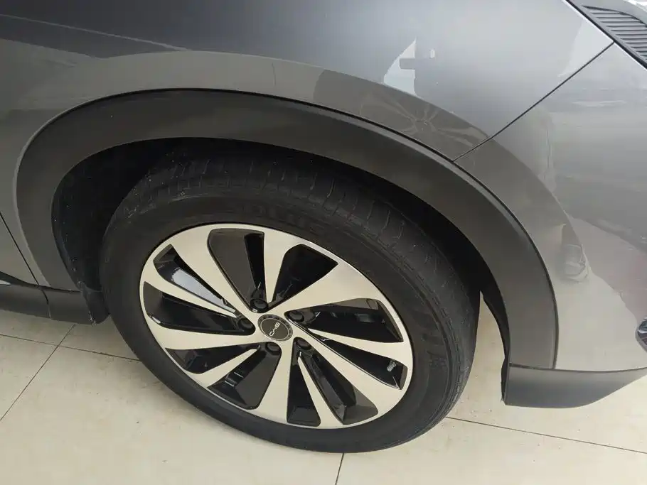 BYD Song PLUS New Energy 2024 — фото 6