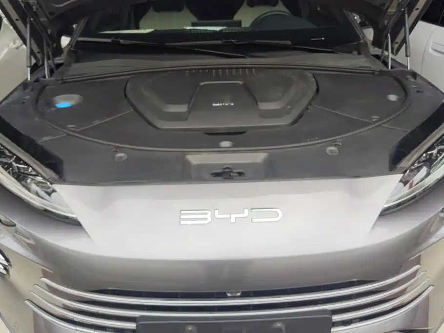 BYD Song PLUS New Energy 2024 — фото 10