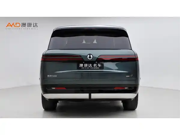 Denza N9 2025
