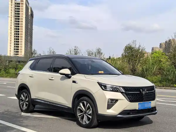 Wuling Star 2024