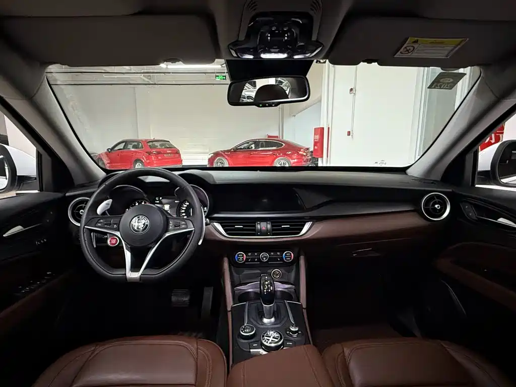 Alfa Romeo Stelvio 2019 — фото 13