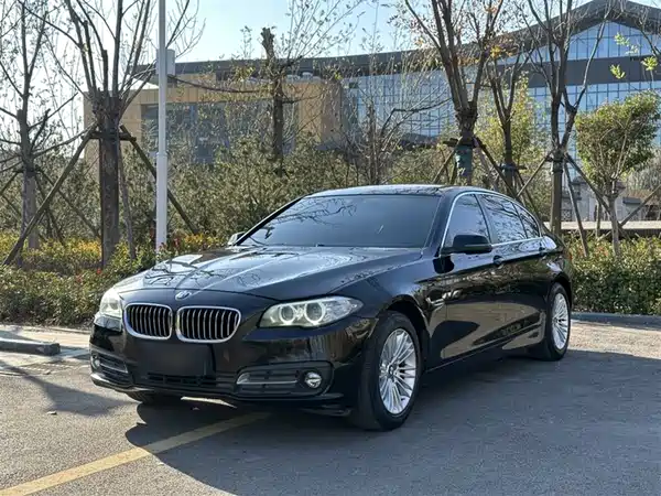 BMW 5 Series 2014