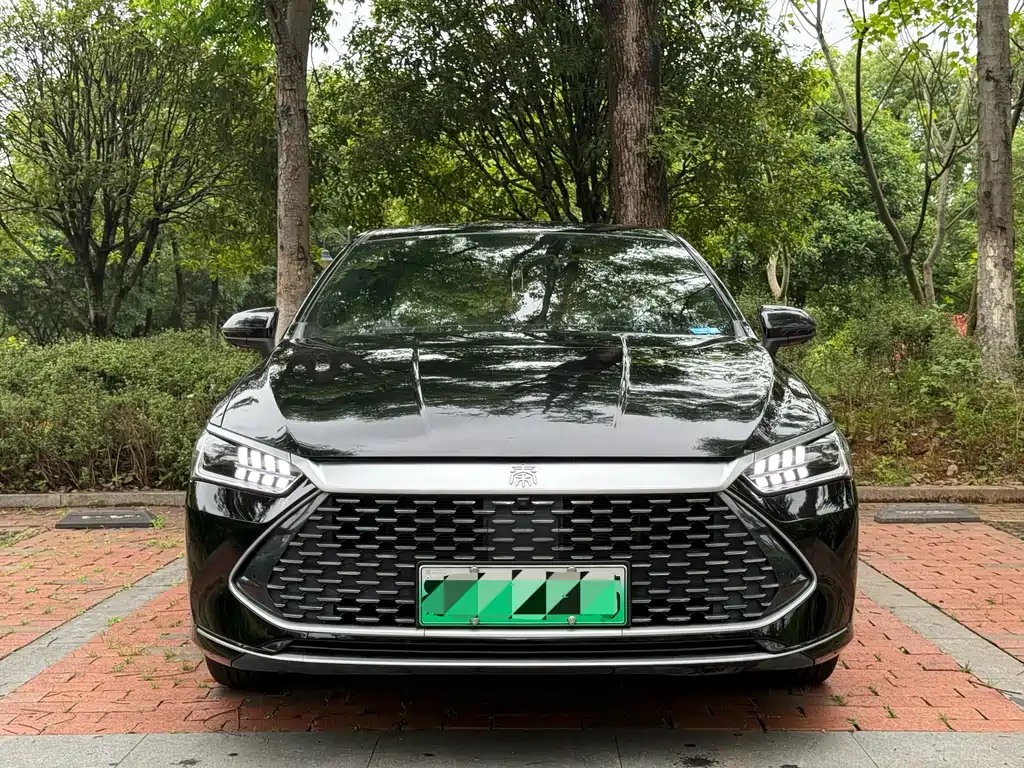 BYD Qin PLUS 2023 — фото 2