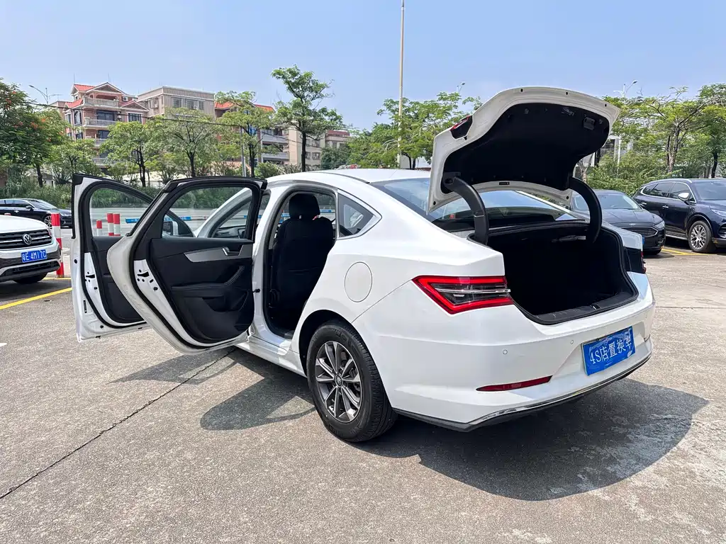 BYD Qin Pro New Energy 2020 — фото 22