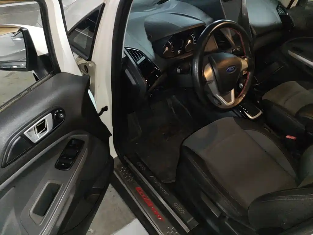 Ford Ecosport 2014 — фото 16
