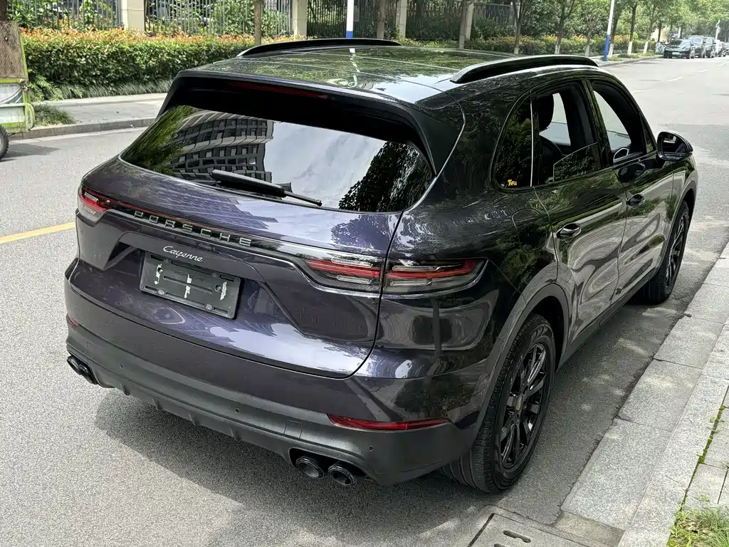 Porsche Cayenne 2019 — фото 13