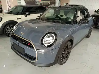 MINI MINI 2025