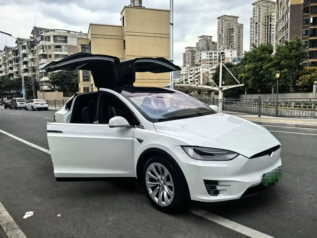 Tesla Model X 2020 — фото 17