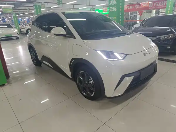 BYD Seagull 2024