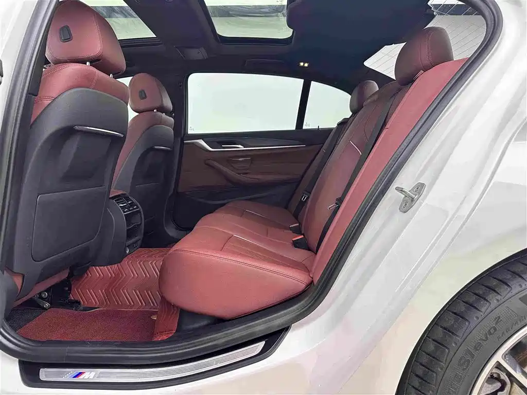 BMW 5 Series New Energy 2021