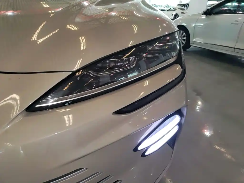 BYD Song PLUS New Energy 2023 — фото 24