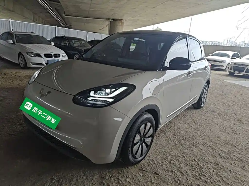 Wuling Bingo 2024