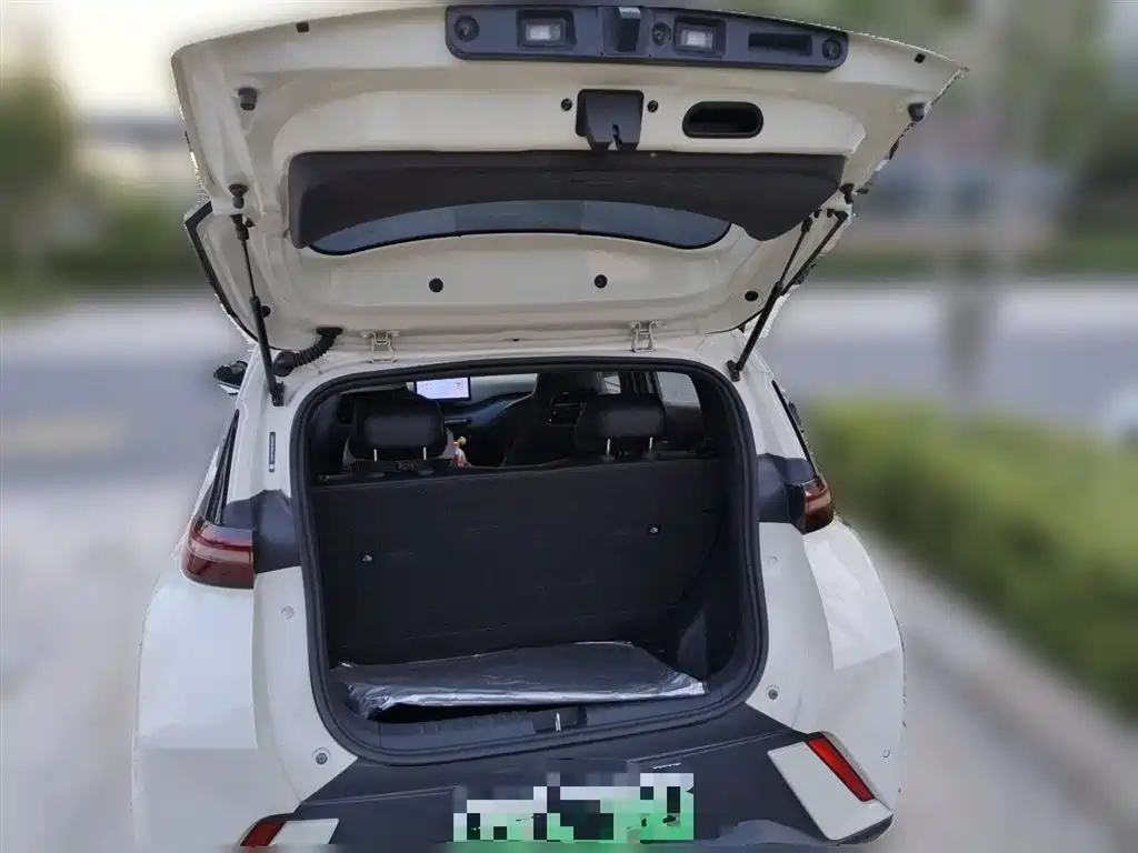 BYD Seagull 2024 — фото 10