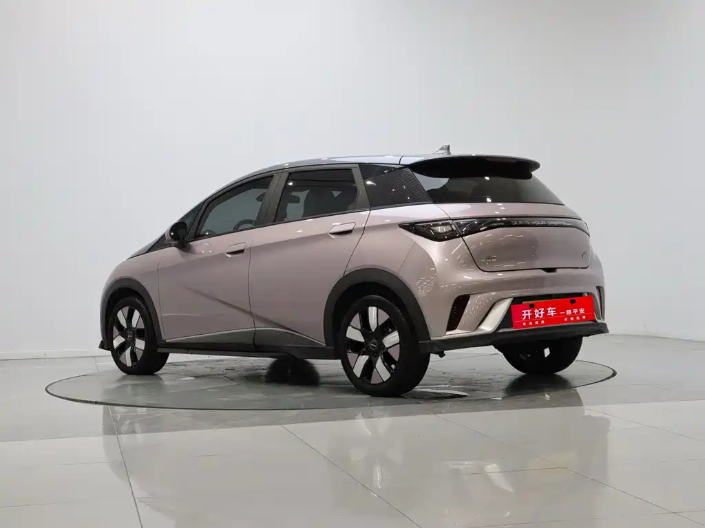 BYD Dolphin 2022